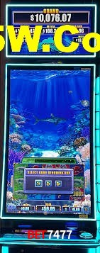 Crash Games Strategies Bet7477